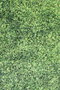 Conceptum Alfombra Grass Multicolor 160 x 230 cm